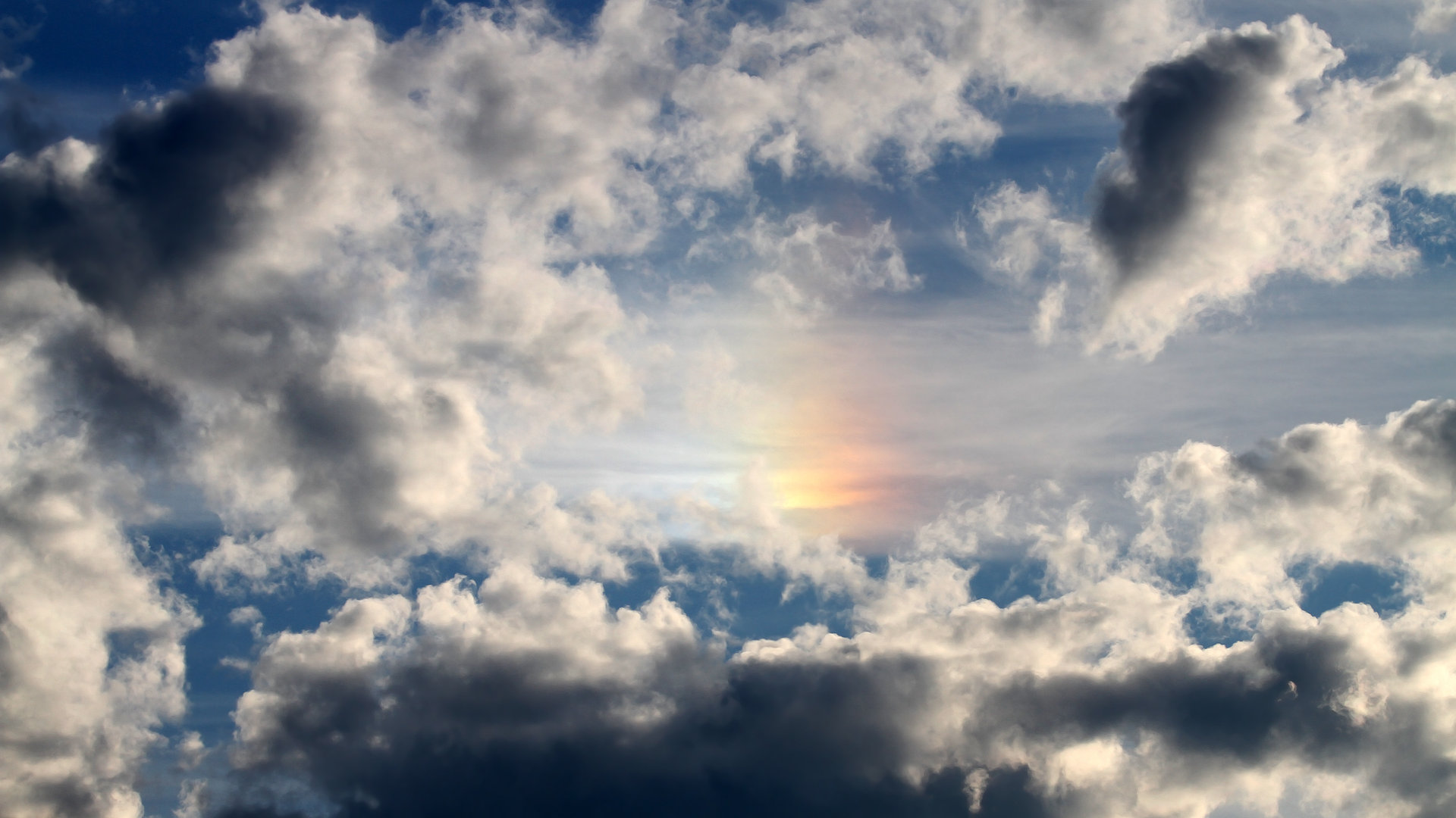 爱游戏在线登录-“中国女足成功进入世界杯八强，创造历史新纪录”，中国女足进了几次世界杯